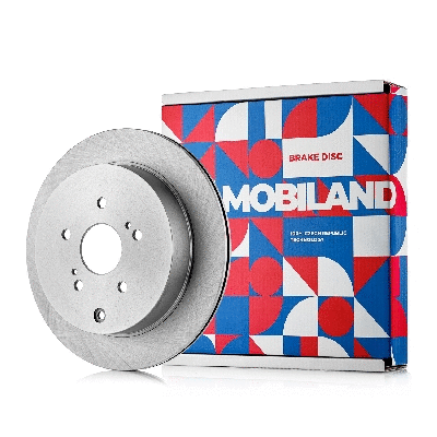 Brake Disc (416101611)