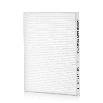 Filter, cabin air (804002450)