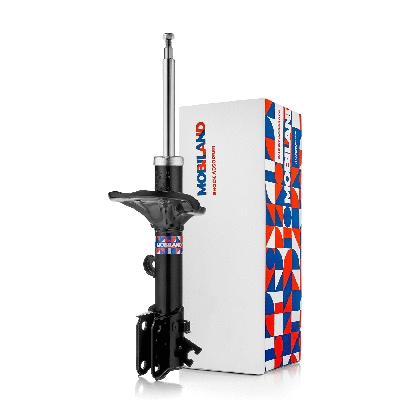 Shock Absorber (134122790)