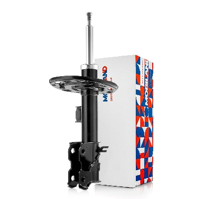 Shock Absorber (134126580)