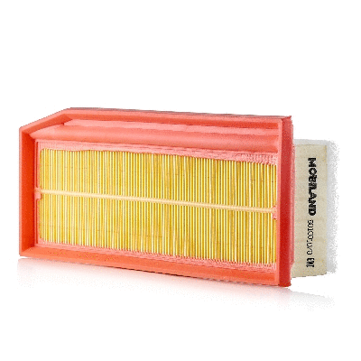Air Filter (801001070)