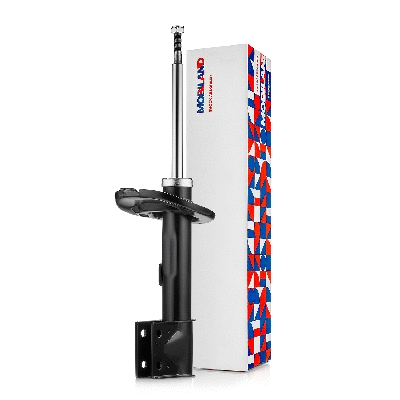 Shock Absorber (134125500)