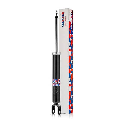 Shock Absorber (134202580)