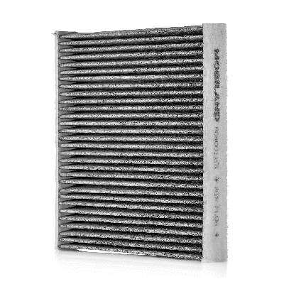 Filter, cabin air (804001101)