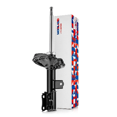 Shock Absorber (134114870)