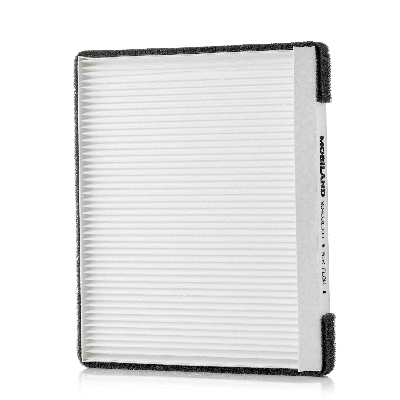 Filter, cabin air (804001900)