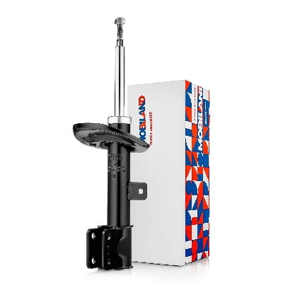 Shock Absorber (134115710)