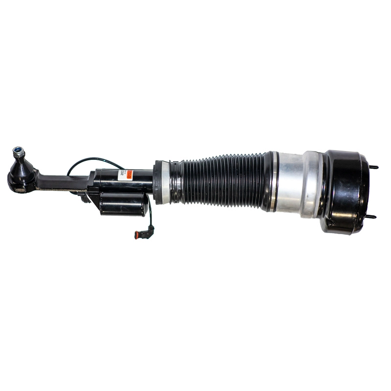 Air Suspension Strut (50213FL)