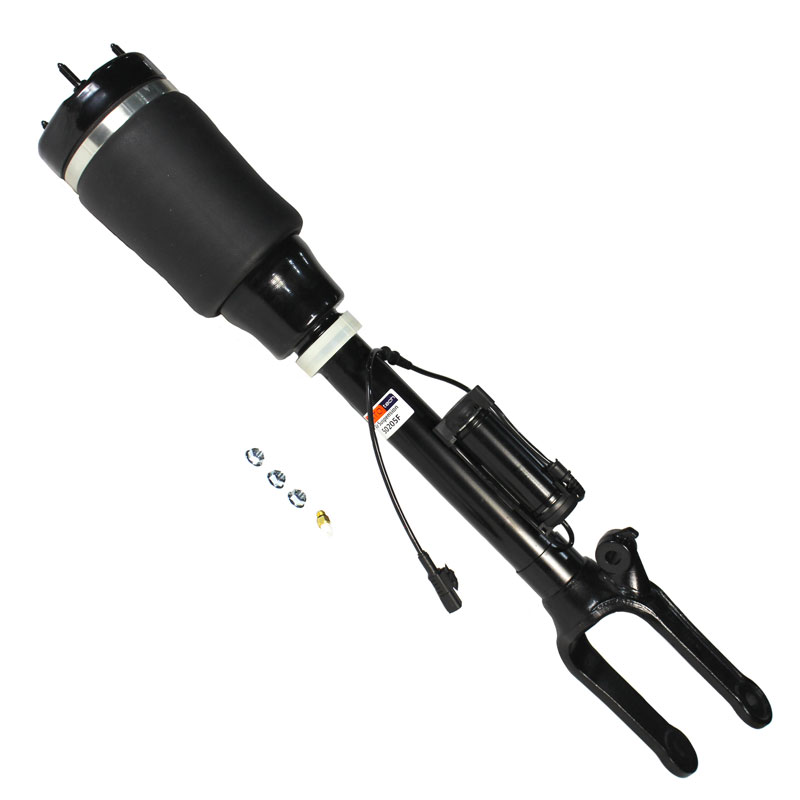 Air Suspension Strut (50205F)