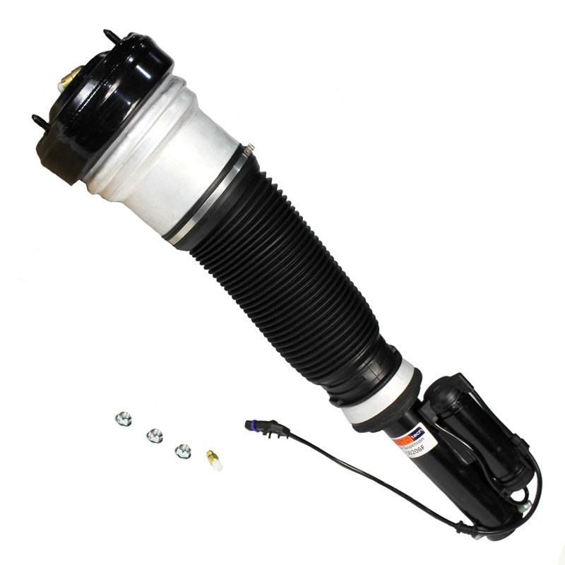 Air Suspension Strut (50206F)