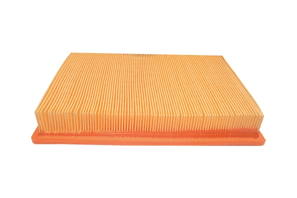 Air Filter (EK-5017)