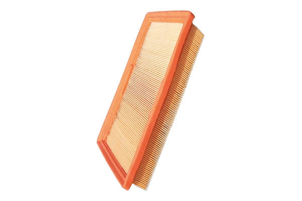 Air Filter (EK-5049)