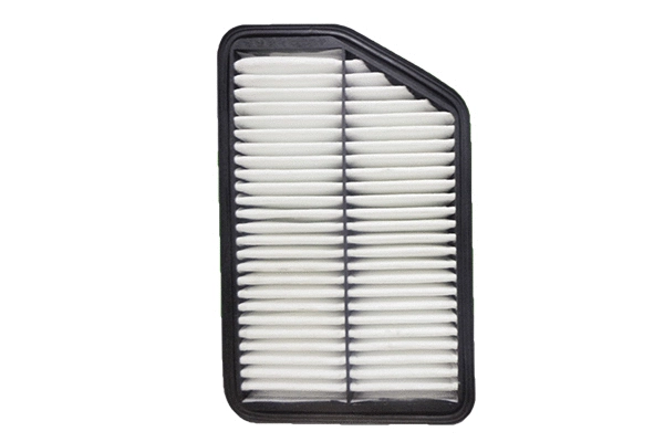 Air Filter (EK-5139)