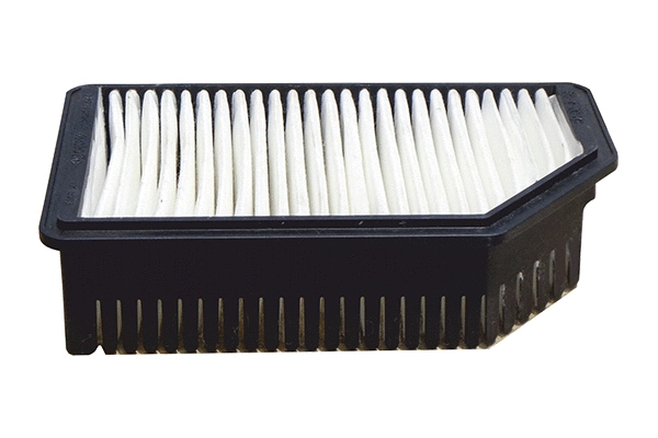 Air Filter (EK-5098)