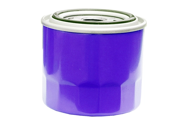 Fuel Filter (EK-6198)
