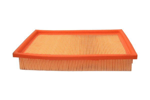 Air Filter (EK-5019)