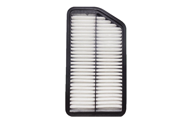 Air Filter (EK-5137)