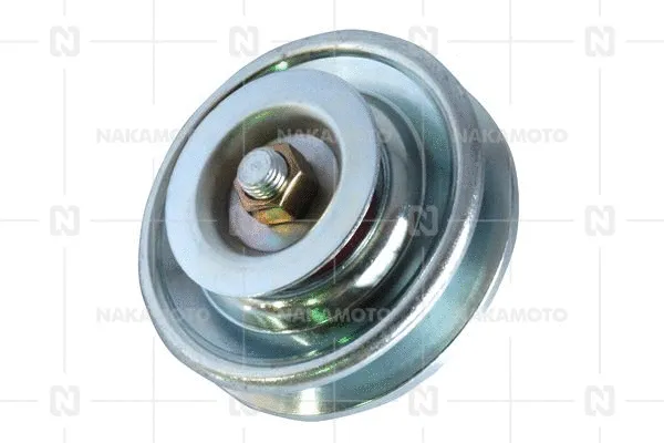 Pulley (A63-NIS-18090244)