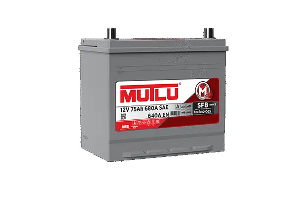 Starter Battery