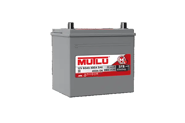 Starter Battery