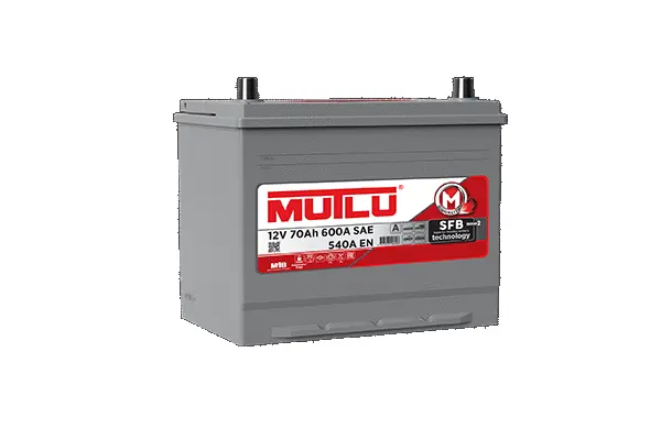 Starter Battery