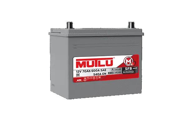 Starter Battery