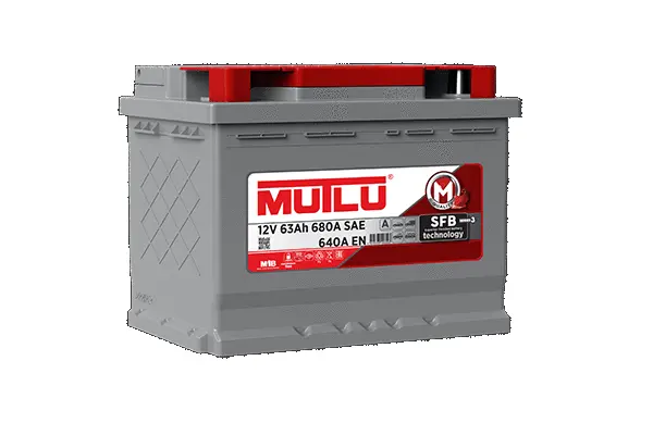 Starter Battery
