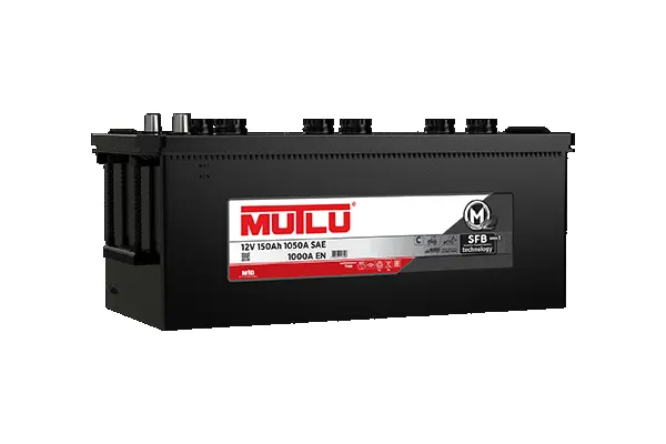 Starter Battery