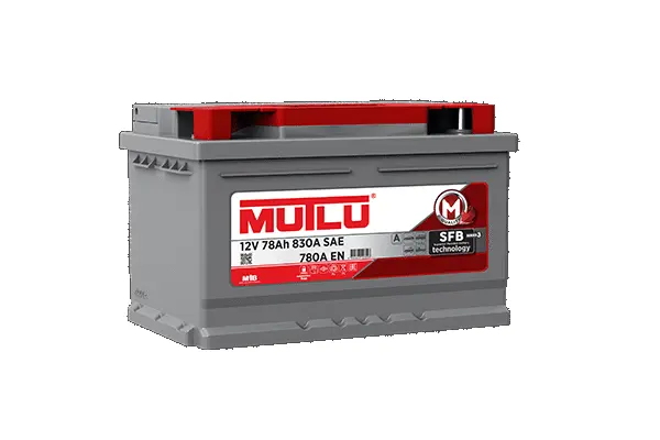 Starter Battery
