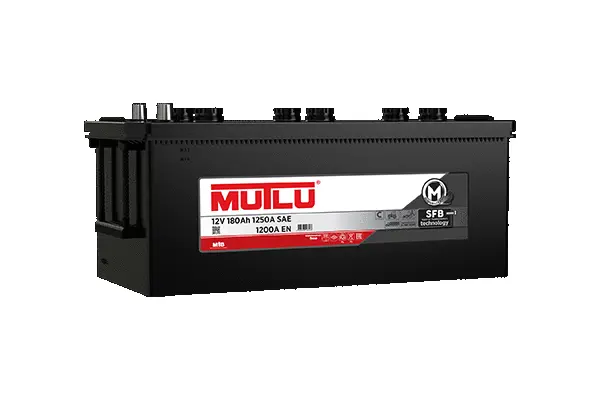 Starter Battery