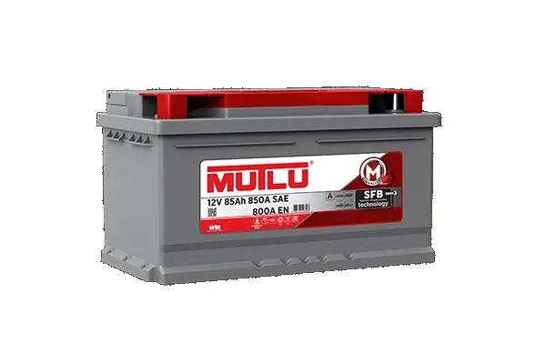 Starter Battery