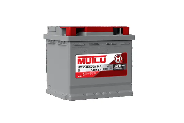 Starter Battery