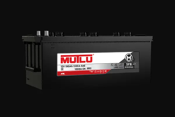 Starter Battery