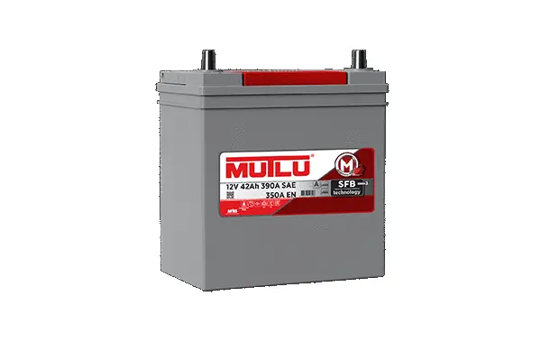 Starter Battery