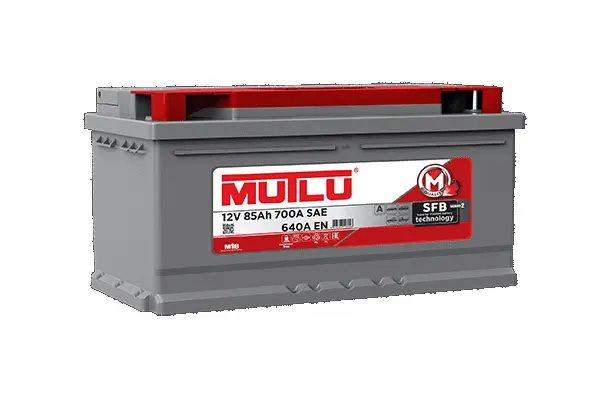 Starter Battery