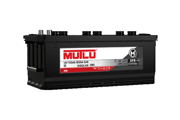 Starter Battery