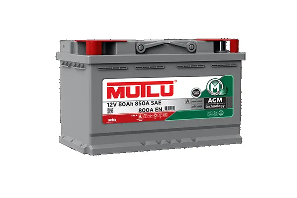 Starter Battery