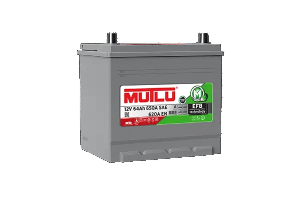 Starter Battery