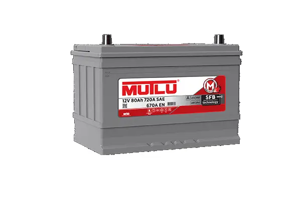 Starter Battery