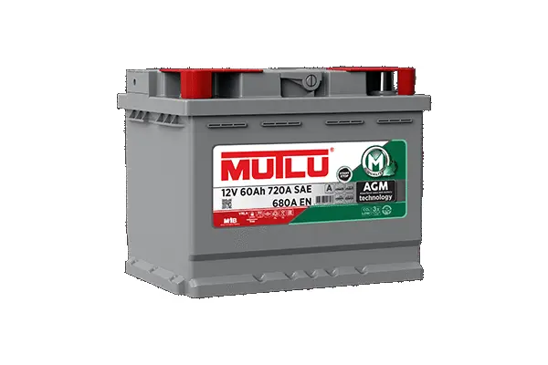 Starter Battery