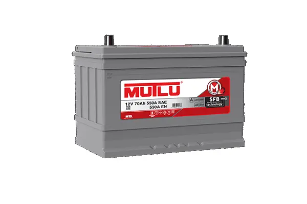 Starter Battery