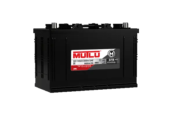 Starter Battery