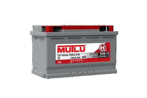 Starter Battery