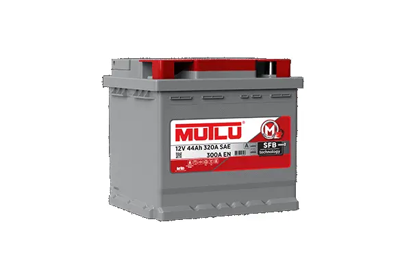 Starter Battery