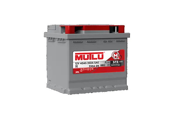 Starter Battery