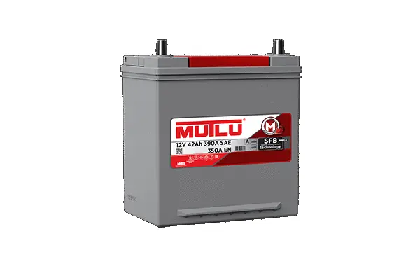 Starter Battery