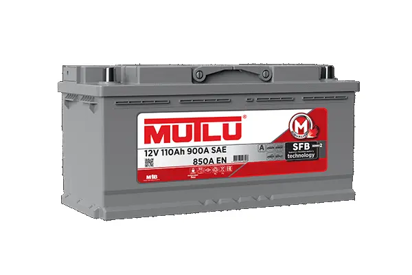 Starter Battery