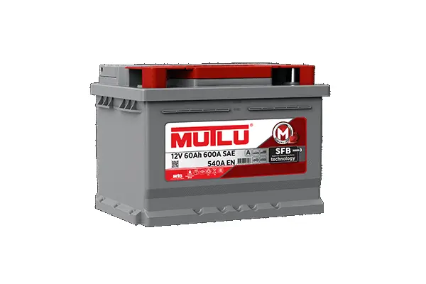 Starter Battery