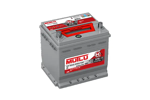 Starter Battery (D20.50.042.D)