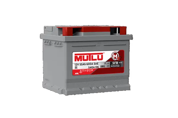 Starter Battery